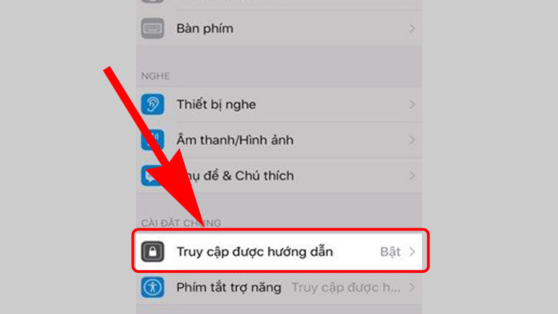 Trong Trợ năng chọn Truy cập được hướng dẫn